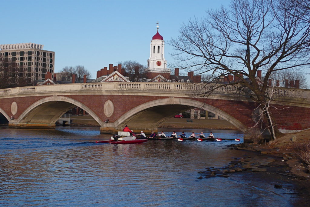rowers by the Weeks Footbridge